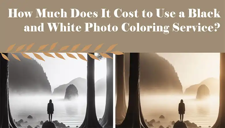 How Much Does It Cost to Use a Black and White Photo Coloring Service