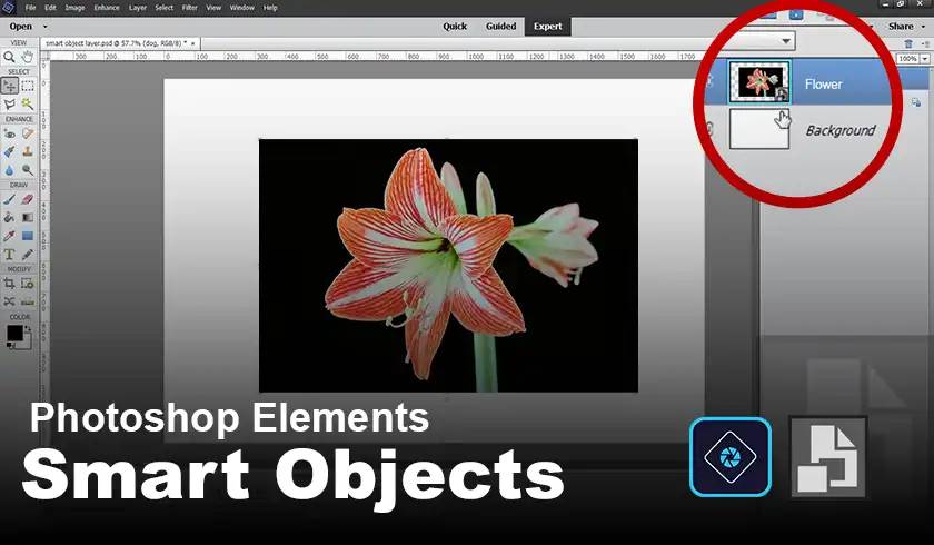 Does Photoshop Elements Have Smart Objects